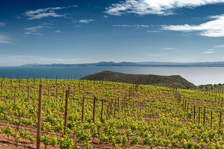 Las mejores bodegas de la Costa Brava